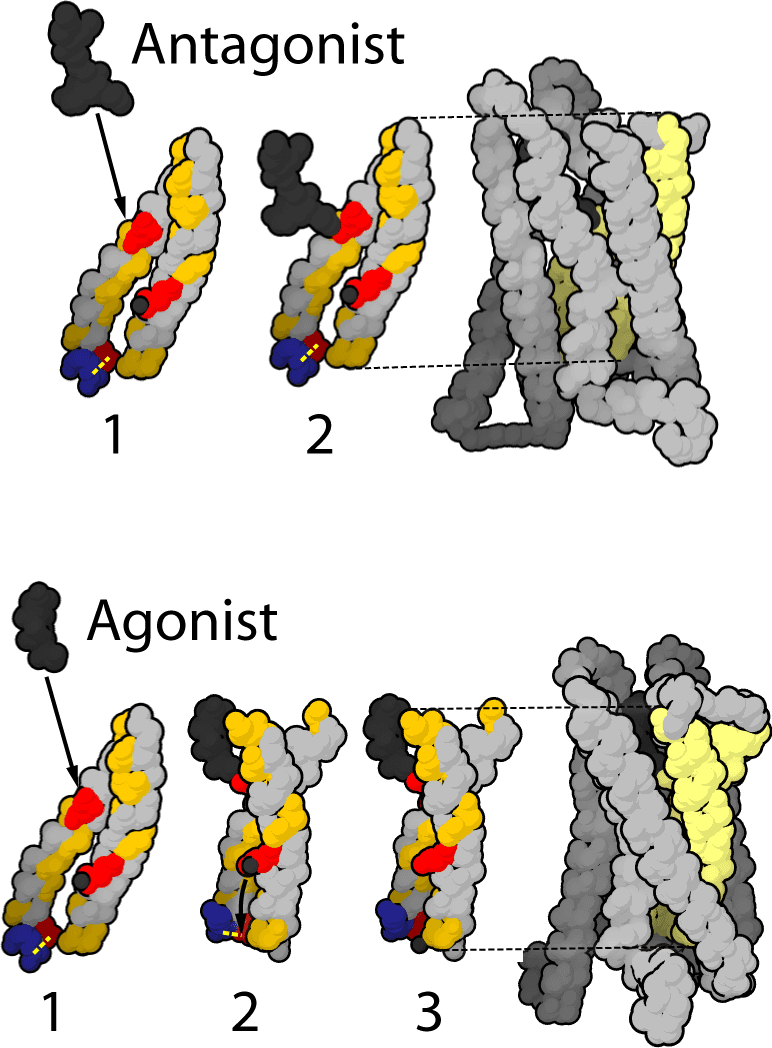 Pain management - Wikipedia