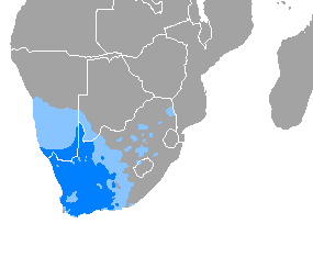 Afrikaans - Wikipedia