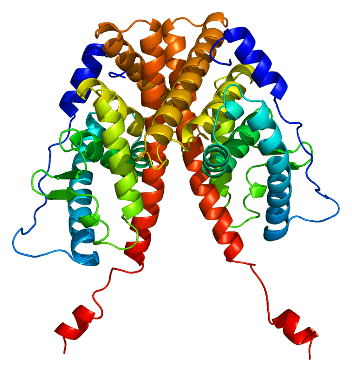 Estrogen receptor alpha - Wikipedia