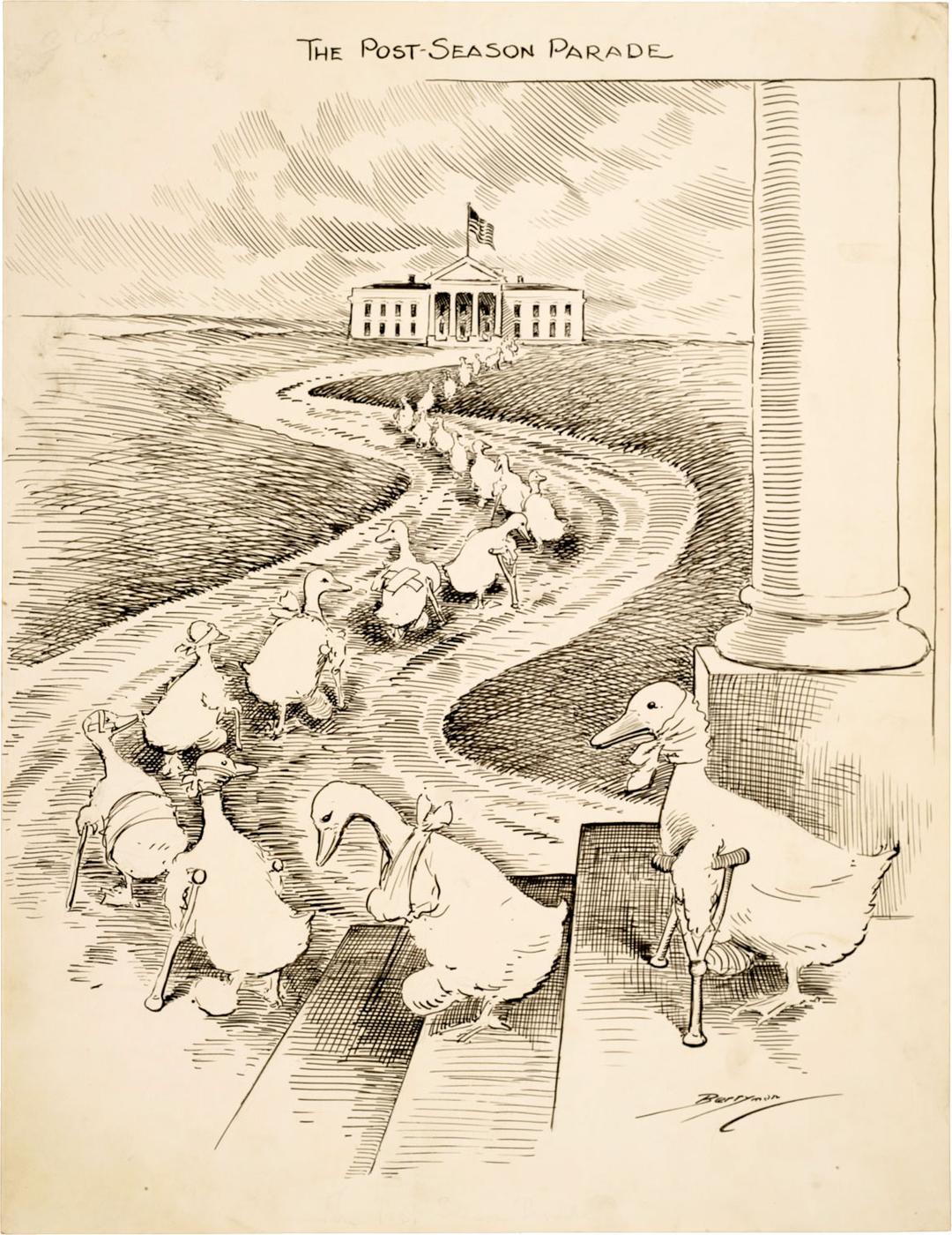 Lame duck (politics) - Wikipedia
