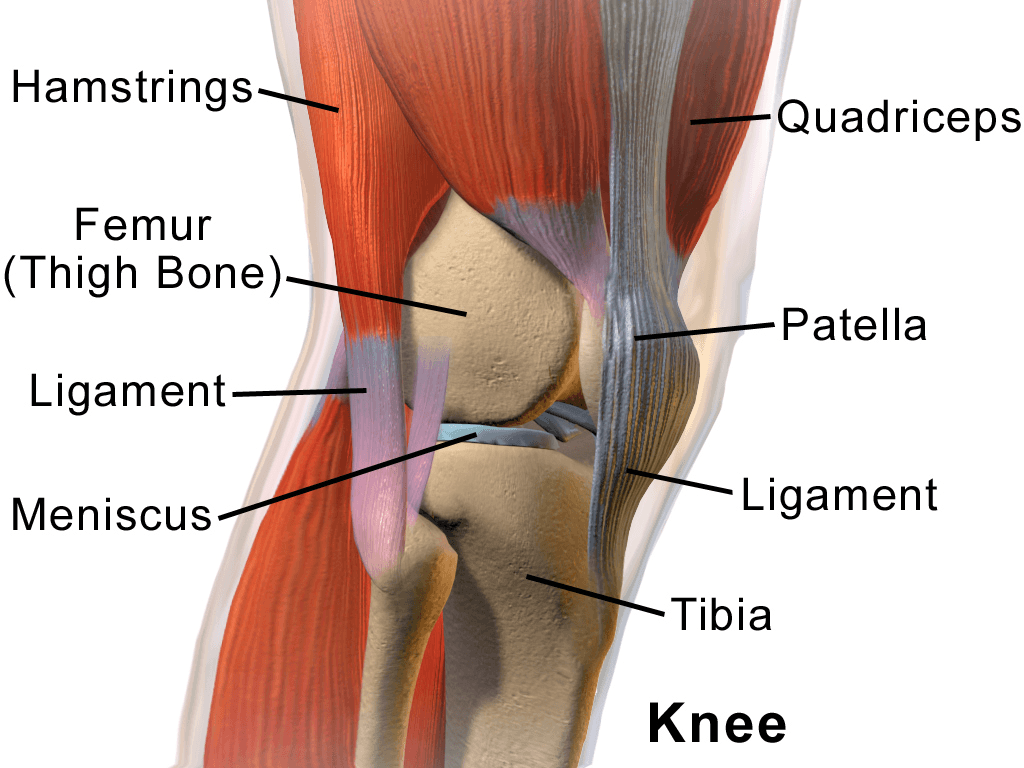 Knee pain - Wikipedia