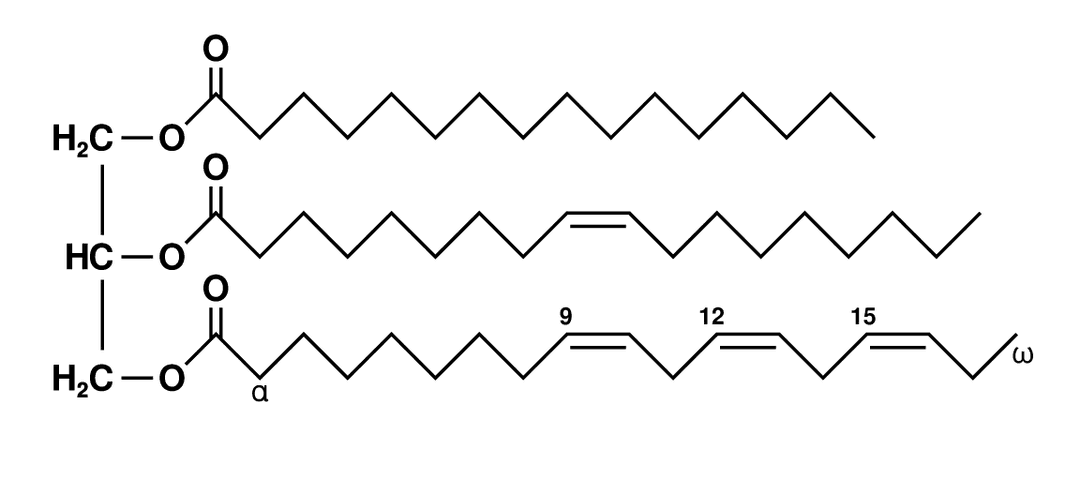 Triglyceride - Wikipedia