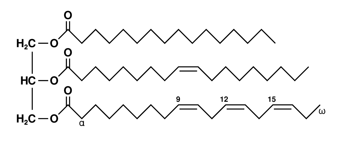 Triglyceride - Wikipedia