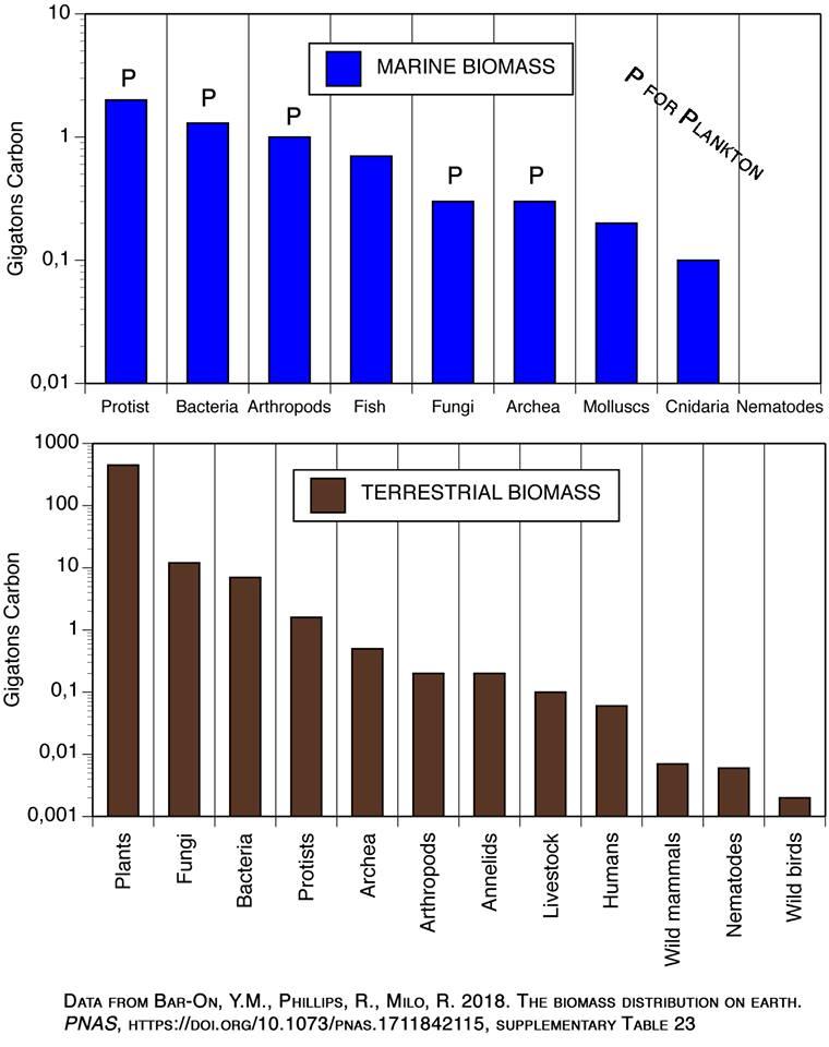 Biomass - Wikipedia