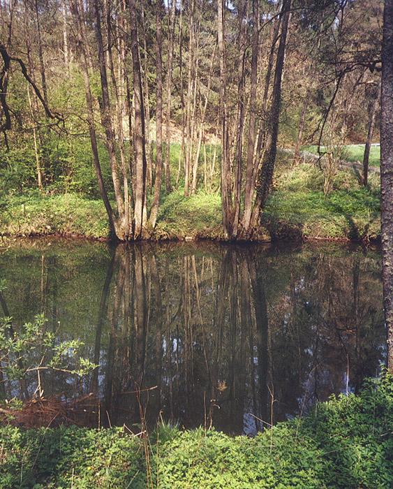 Nagold (river) - Wikipedia