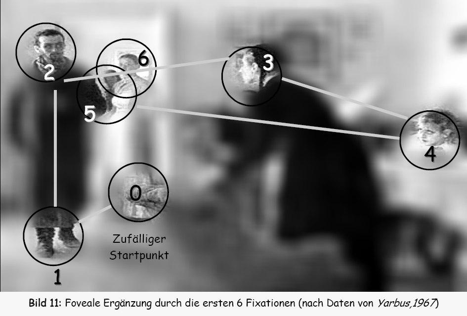 Eye movement - Wikipedia