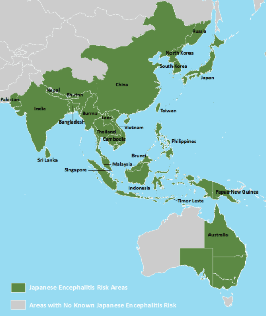 Japanese encephalitis - Wikipedia