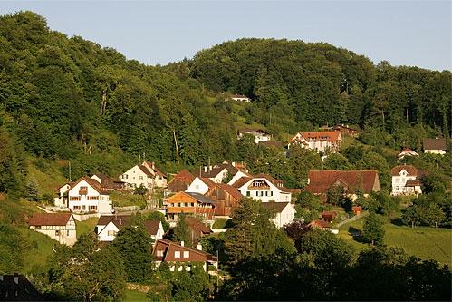 Burg im Leimental - Wikipedia