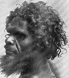 Australoïde — Wikipédia
