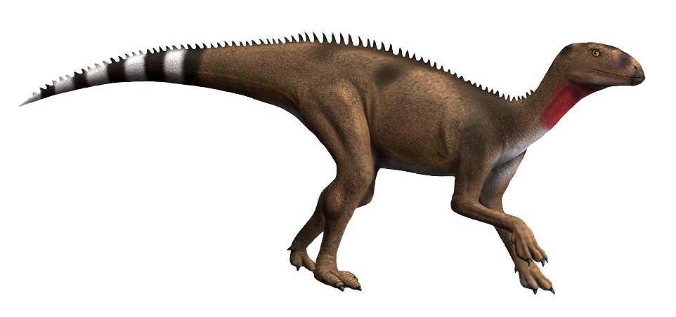 Pisanosaurus — Wikipédia