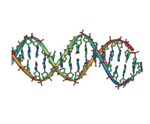 DNA profiling - Wikipedia