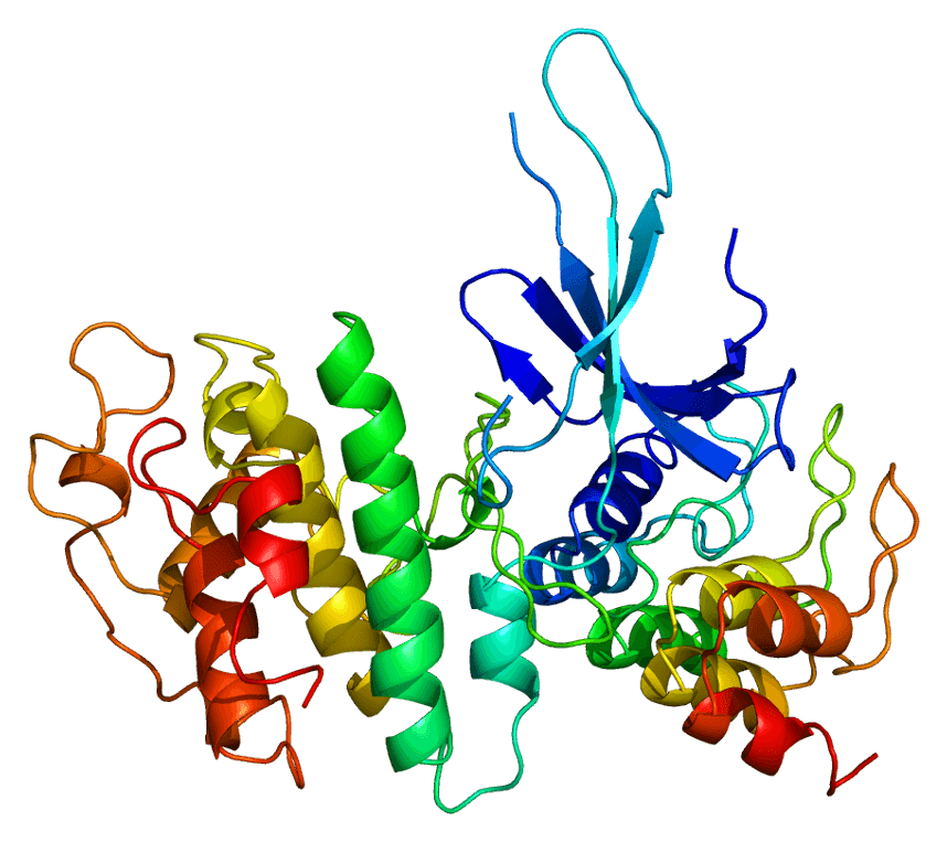 Cyclin-dependent kinase 6 - Wikipedia