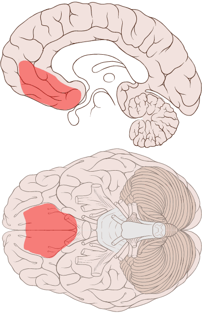 Marqueur somatique — Wikipédia