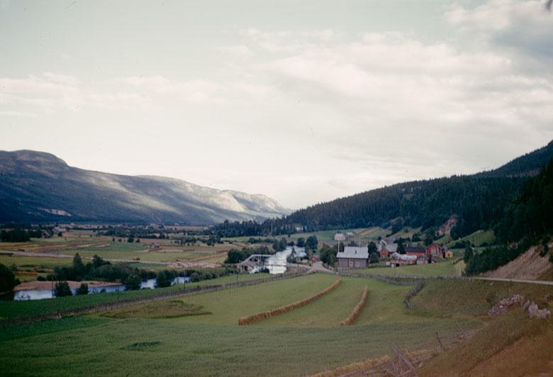 Tynset - Wikipedia