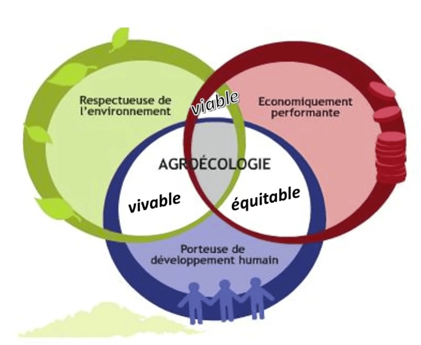 Agroécologie — Wikipédia