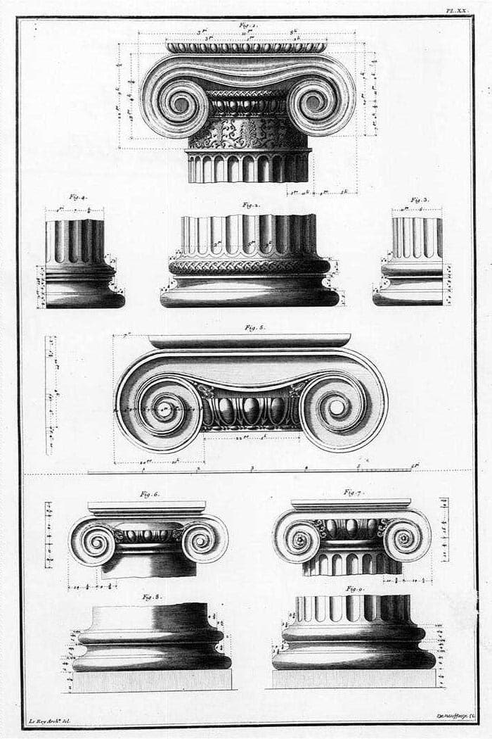 Volute - Wikipedia