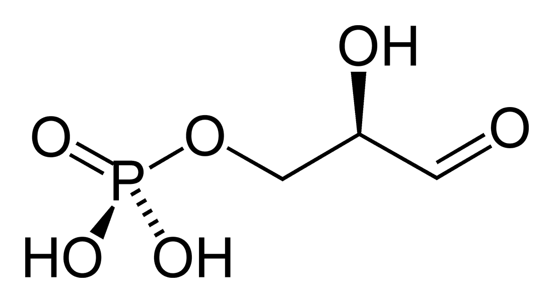 Glycéraldéhyde-3-phosphate — Wikipédia