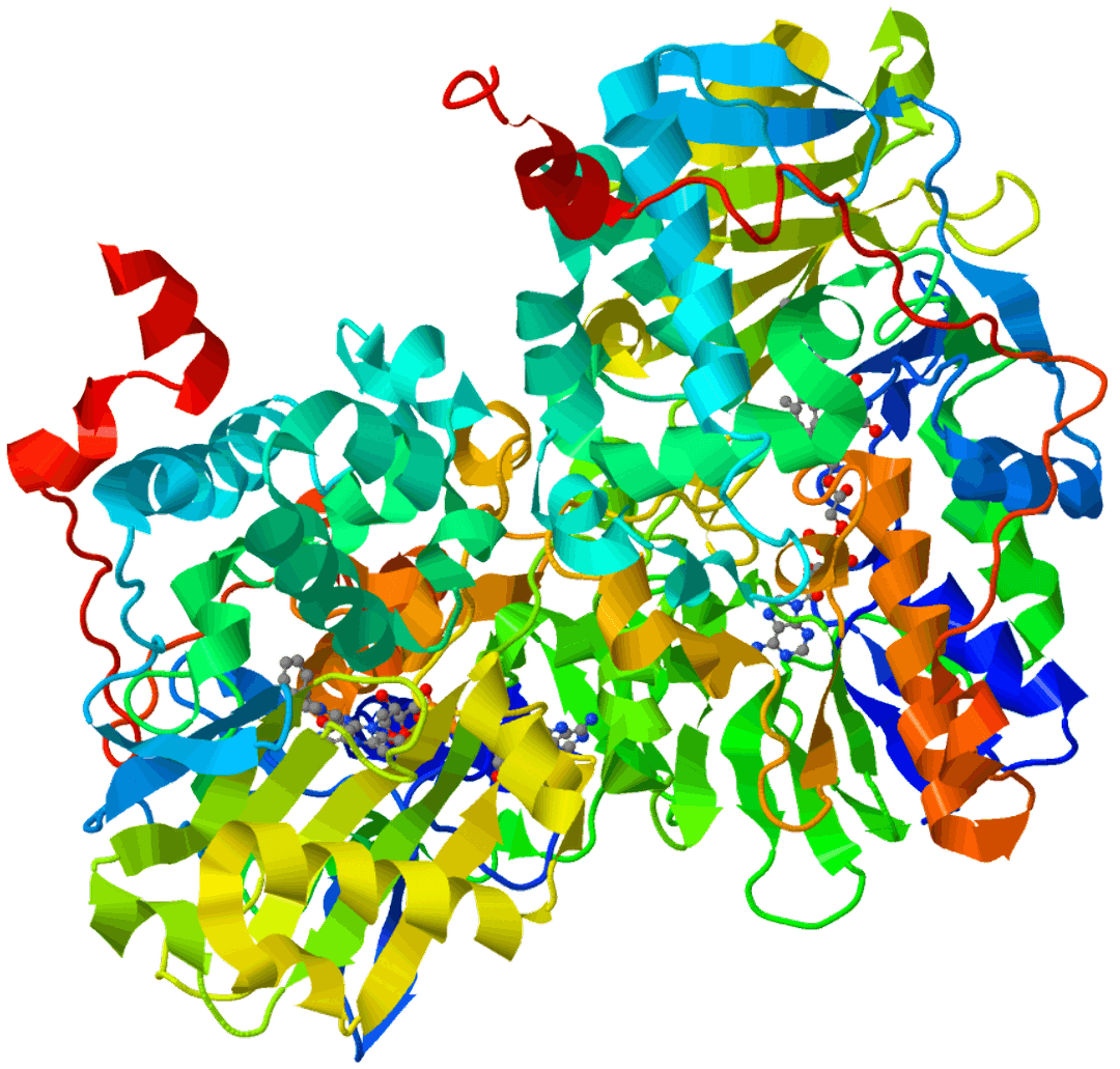 Monoamine oxidase inhibitor - Wikipedia