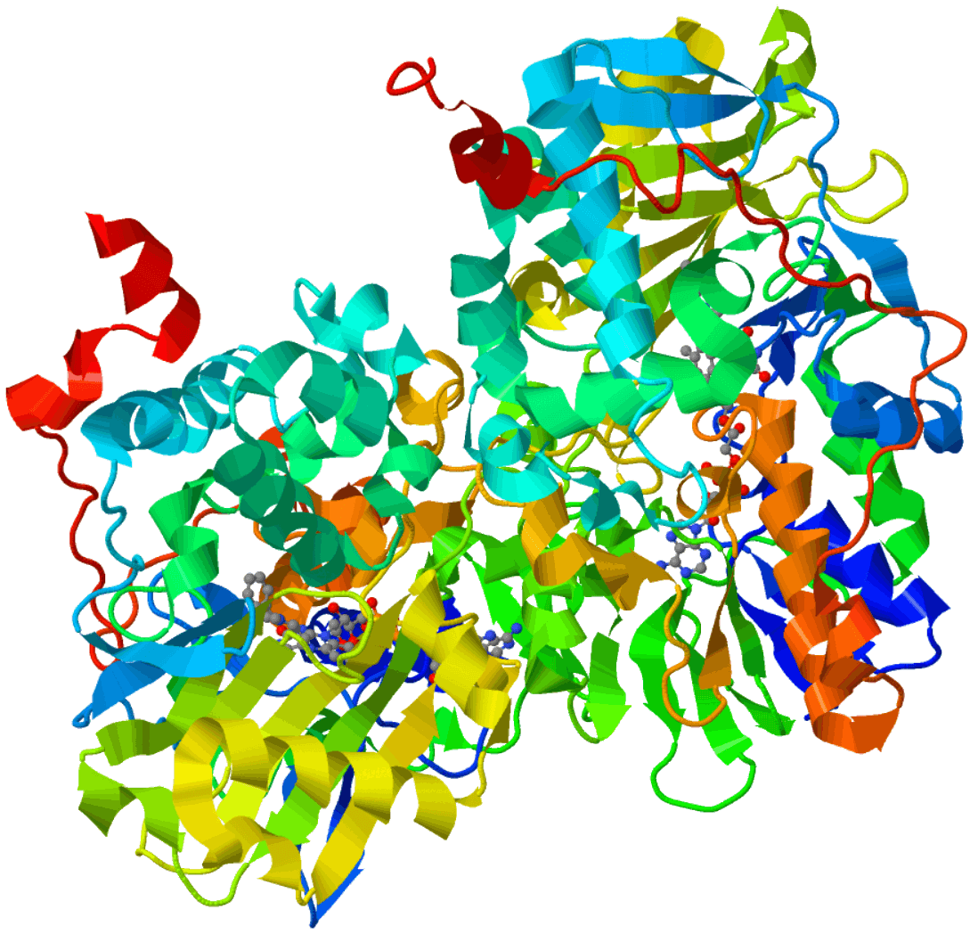 Monoamine oxidase inhibitor - Wikipedia