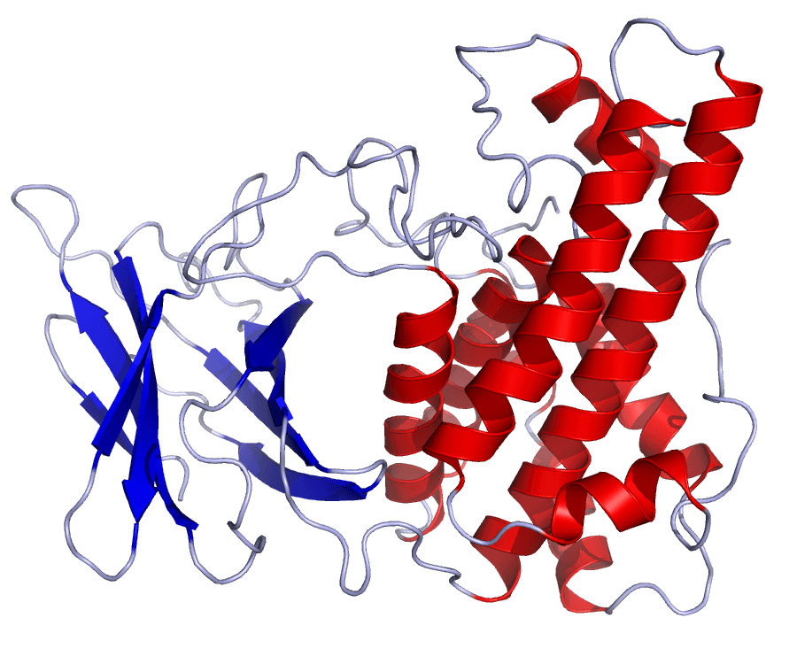 Clostridium perfringens alpha toxin - Wikipedia