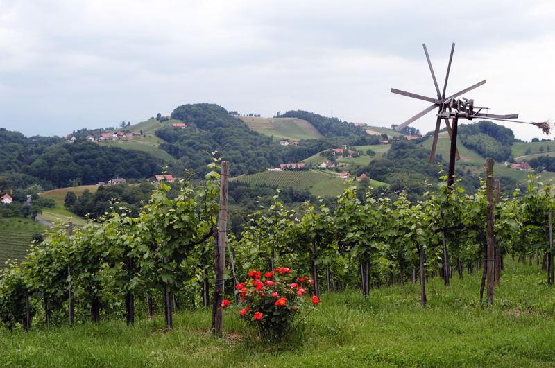 Viticulture en Autriche — Wikipédia