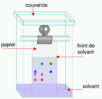 Chromatographie sur papier — Wikipédia