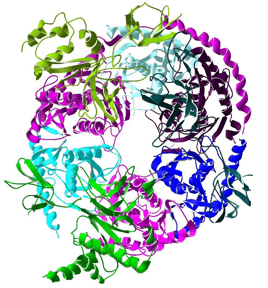 Exosome — Wikipédia