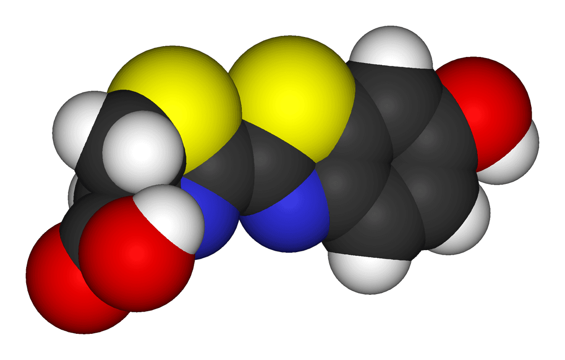 Luciferin - Wikipedia