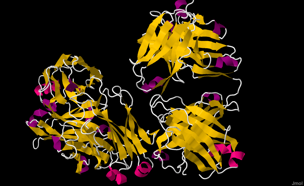 Rituximab — Wikipédia