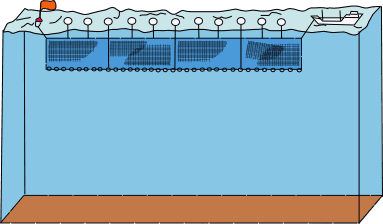 Pêche au filet dérivant — Wikipédia