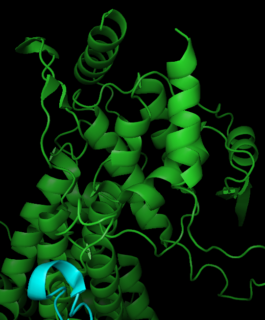 Phénylalanine ammonia-lyase — Wikipédia