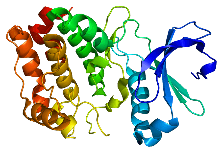 Serine/threonine-specific protein kinase - Wikipedia