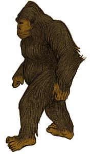 Yeti - Wikipedia