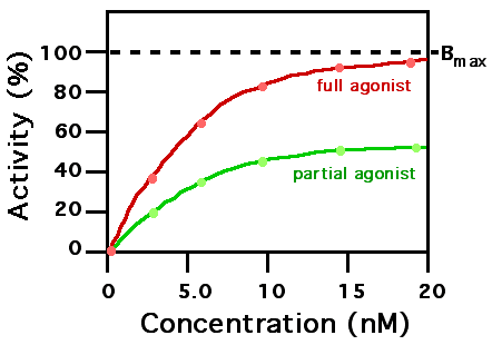 Partial agonist - Wikipedia