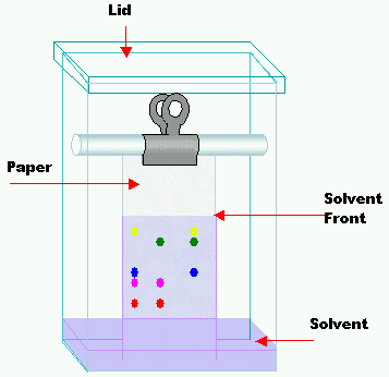 Paper chromatography - Wikipedia