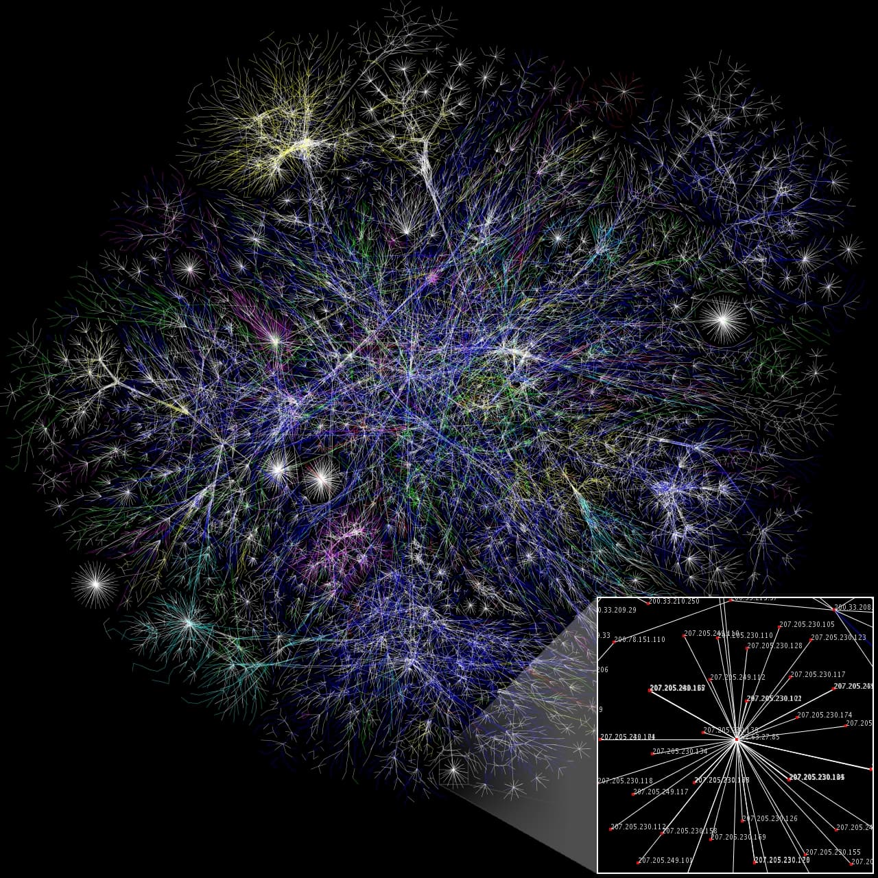Biological network - Wikipedia