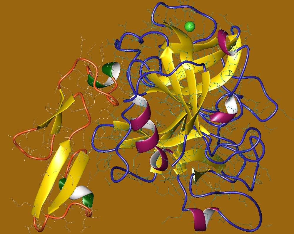 Proconvertine — Wikipédia