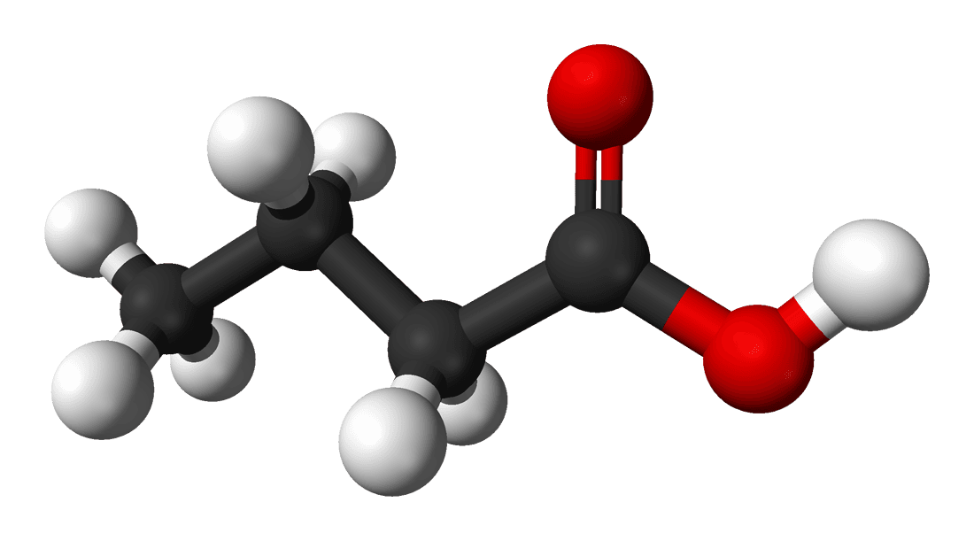 Butyric acid - Wikipedia