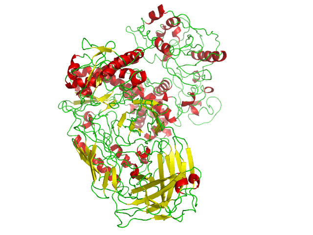 Polymerase - Wikipedia