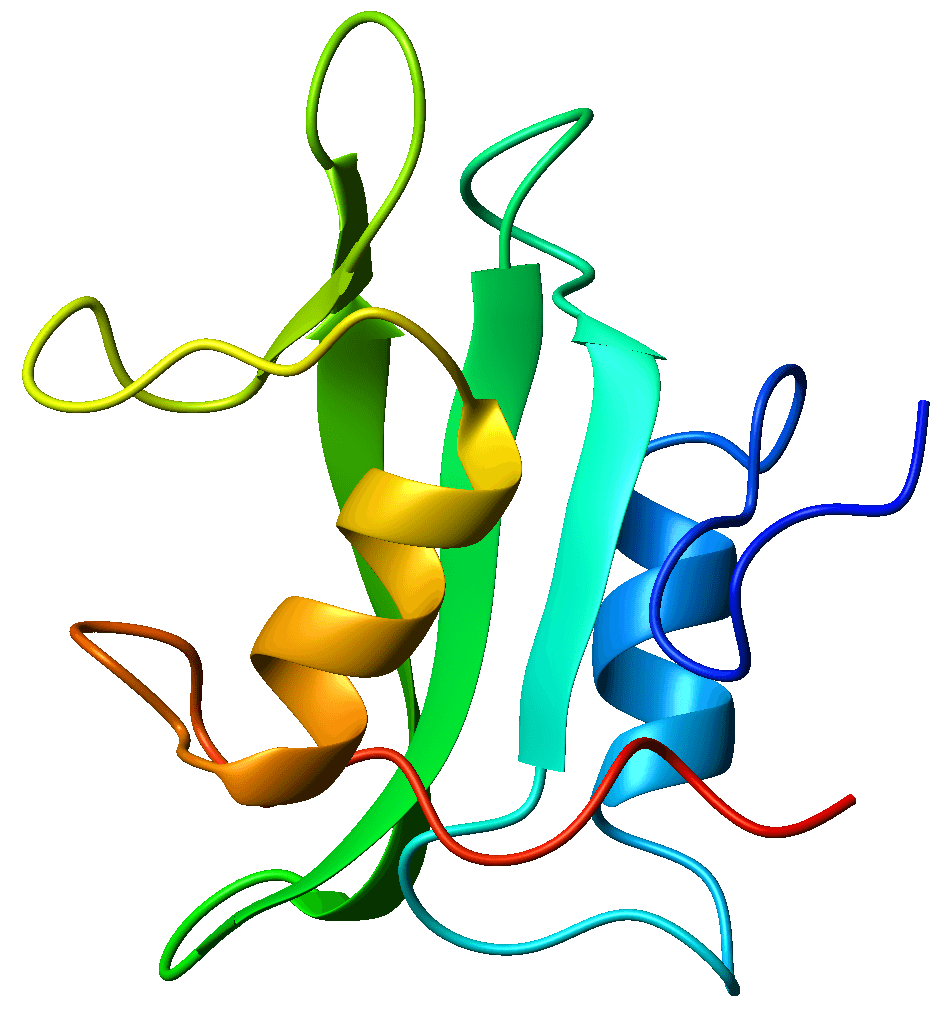 Tyrosin-protein kinase Lck - Wikipedia