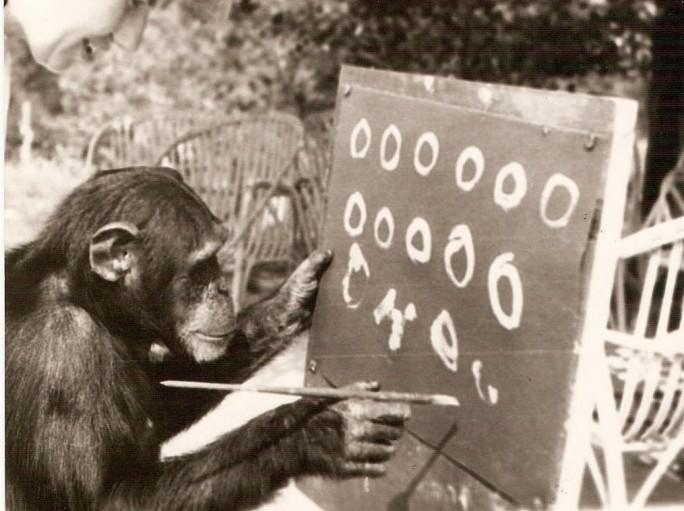 Primate cognition - Wikipedia