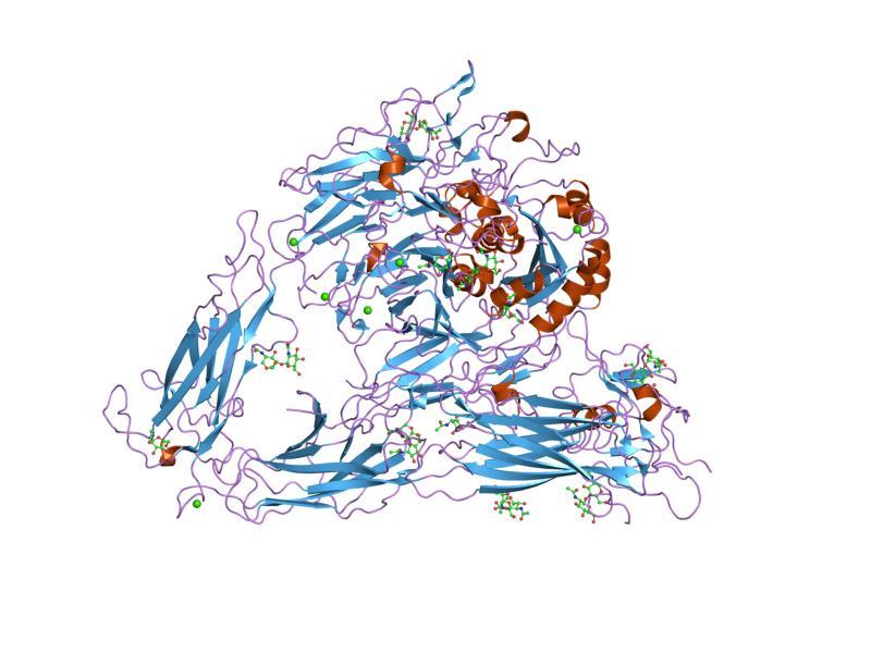 Integrin - Wikipedia