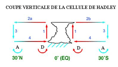 Convergence (météorologie) — Wikipédia