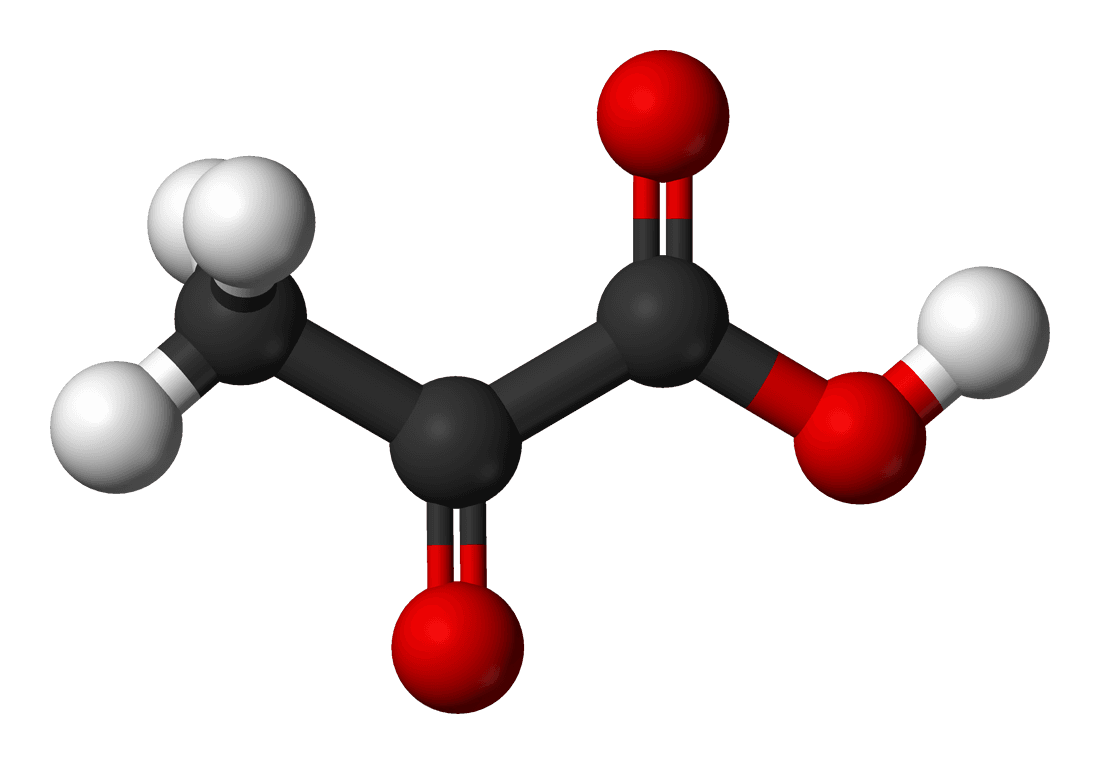 Acide pyruvique — Wikipédia