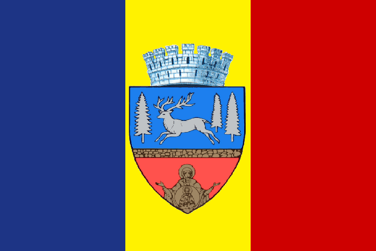 Bacău — Wikipédia