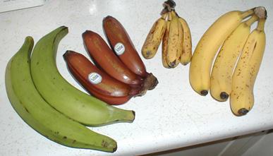 Banana - Wikipedia