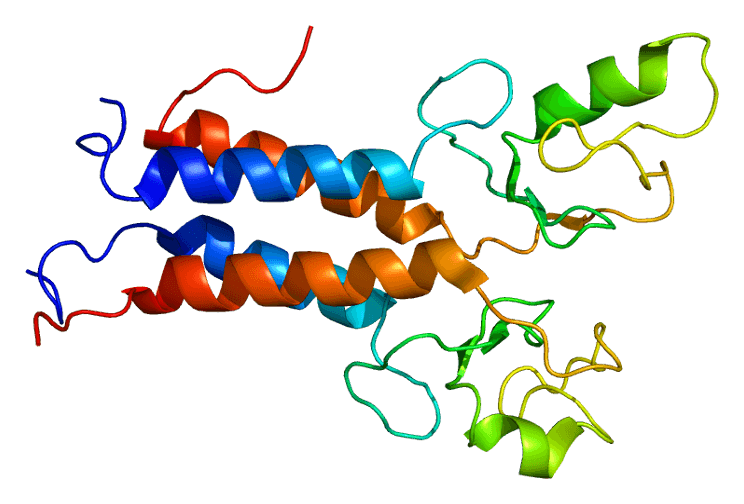 BRCA1 — Wikipédia