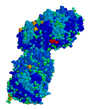 Maladie de Gaucher — Wikipédia