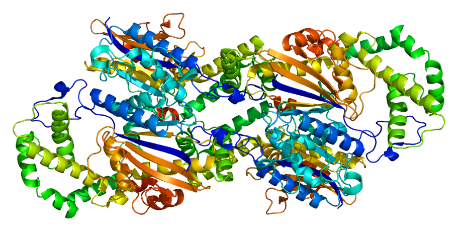 Prostatic acid phosphatase - Wikipedia