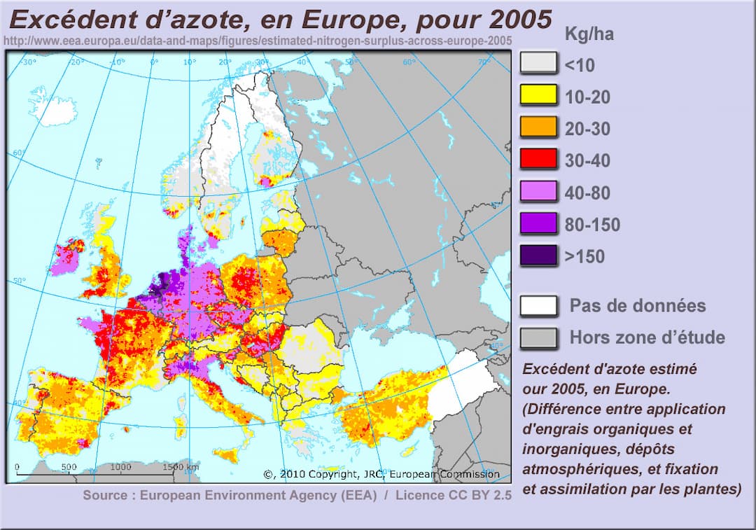 Eutrophisation — Wikipédia